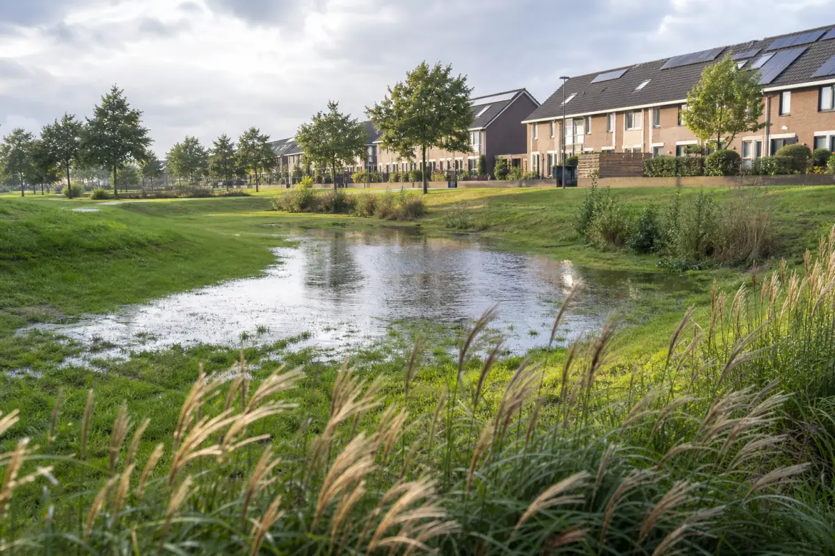 Wadi's: regenwater tijdelijk opvangen in de wijk